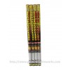 Kembang Api Roman Candle 0.75 inch 5 Shots - GE8055A/B/C/D